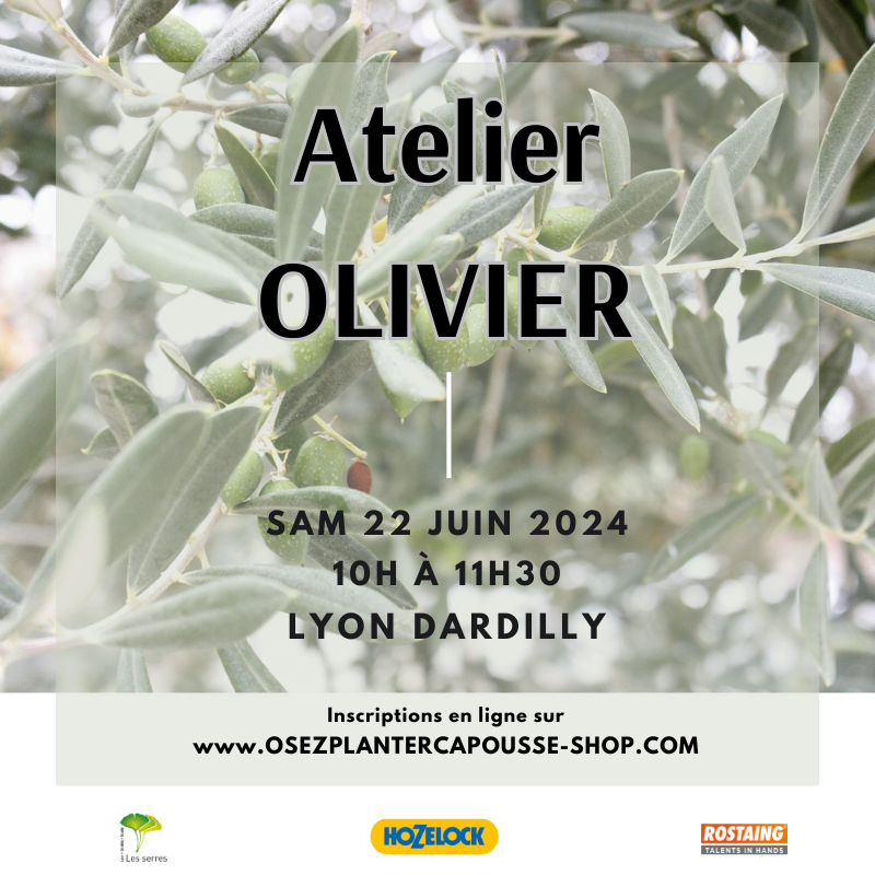 Atelier OLIVIER 22/06/2024