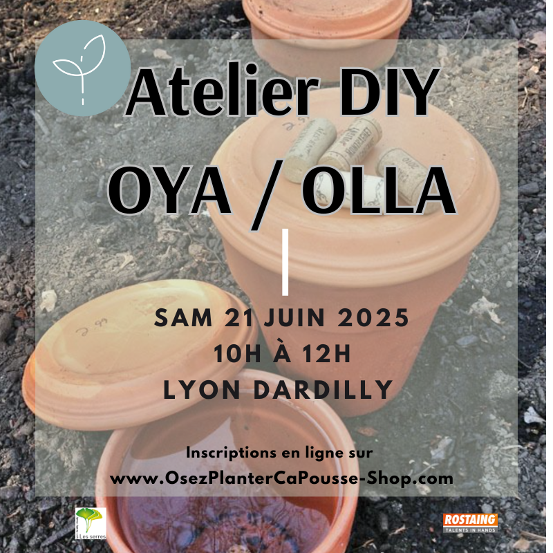 Découvrez l&rsquo;Atelier DIY Création d&rsquo;OYA/OLLA Poterie pour arrosage